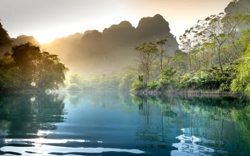 全自动高效高端